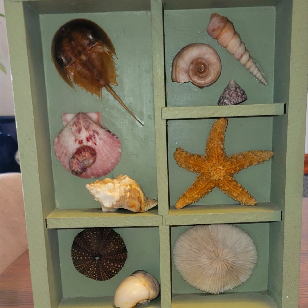 Ocean shadow box